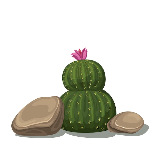 Pedra com cactos, ilustração vetorial de pedregulhos.