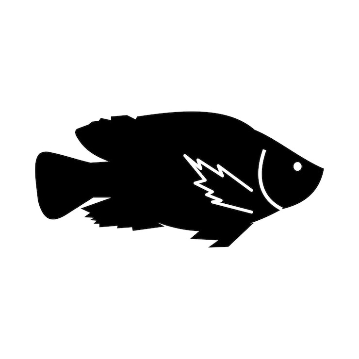 Vetor peixe de silhueta preta isolado no fundo branco a sombra de um ícone de sombra de peixe adivinhe o nome