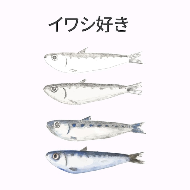 Vetor peixe japonês vector pastel koinobori em camadas e letras kanji japonesas adequadas para festival japonês