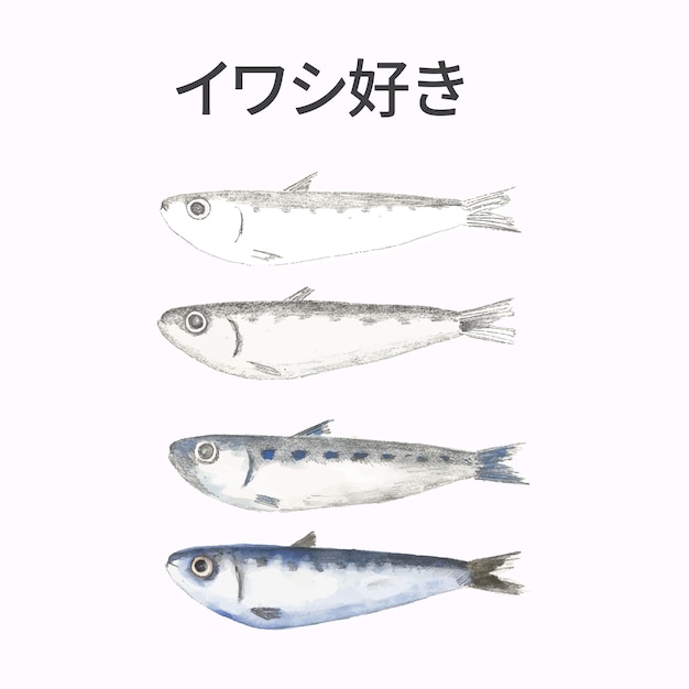 Peixe japonês vector pastel koinobori em camadas e letras kanji japonesas adequadas para festival japonês