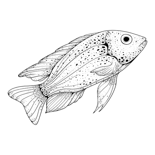 Peixe no fundo branco elemento do mar no estilo de desenho de linha de esboço