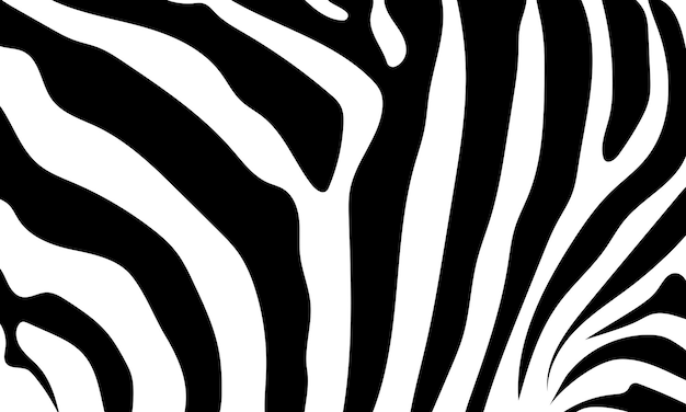 Pele de fundo abstrato de uma zebra de cor branca e preta animais selvagens