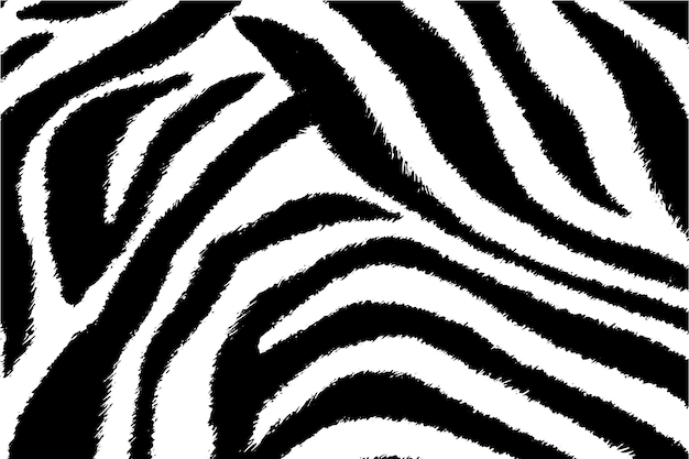 Pele de zebra listras fundo impressão animal preto e branco detalhado e realista vetor de textura