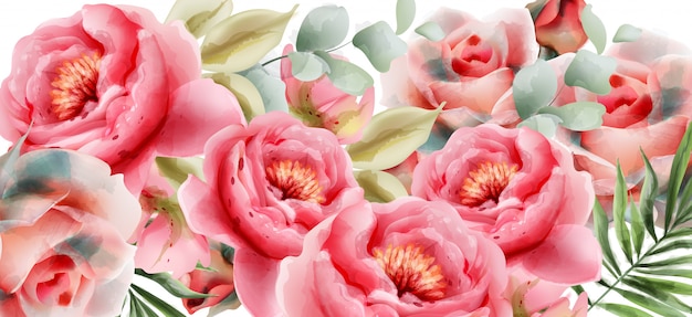 Peônias rosa aquarela verão fundo