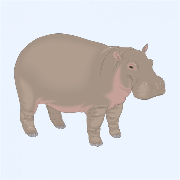 Vetor pequeno hipopótamo solitário