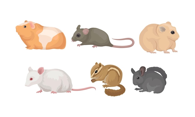 Vetor pequenos animais roedores vector set isolado em fundo branco fluffy little creatures collection