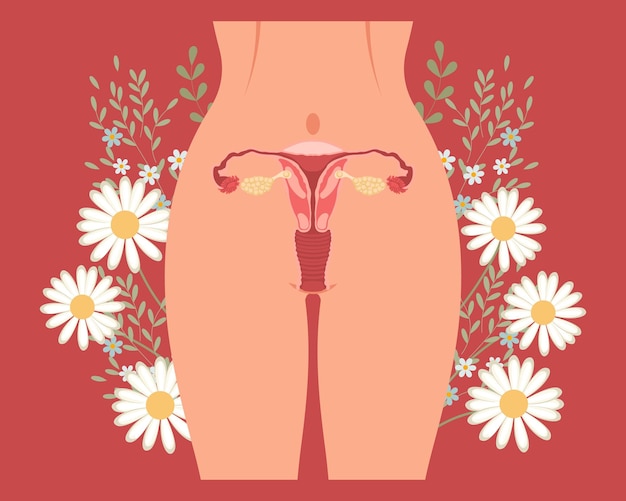 Vetor período menstrual modelo de página de destino corpo feminino virilha da mulher com flores saúde da mulher