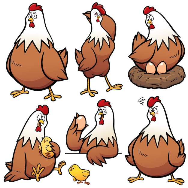 Vetor personagem de desenho animado de galinha