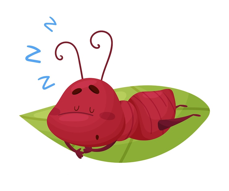 Vetor personagem de desenho animado formiga dormindo em folha verde isolado em fundo branco ilustração vetorial