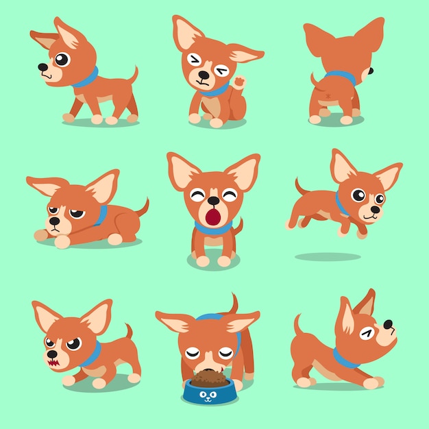 Personagem de desenho de vetor marrom poses de cachorro chihuahua