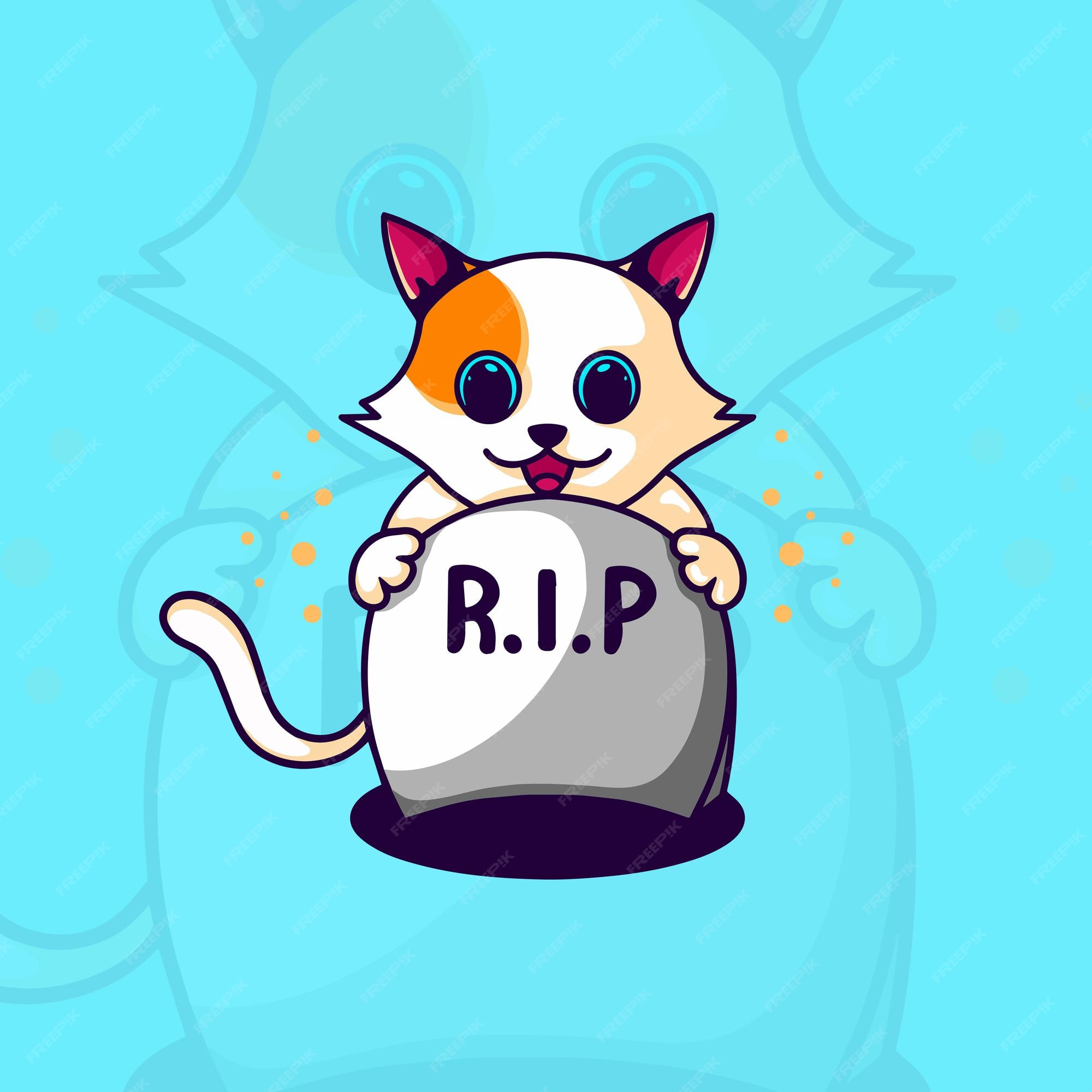 rip el gato cat 