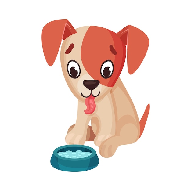 Personagem engraçado de Jack Russell Terrier bebendo água Ilustração vetorial