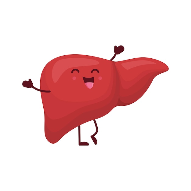 Personagem engraçado do órgão do corpo humano do fígado dos desenhos animados