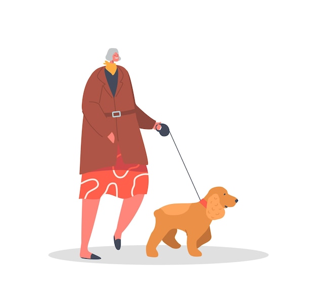 Personagem feminina idosa andando com cachorro no parque isolado no fundo branco mulher madura, passar tempo junto com spaniel engraçado passeio ao ar livre com animais de estimação desenhos animados pessoas ilustração vetorial