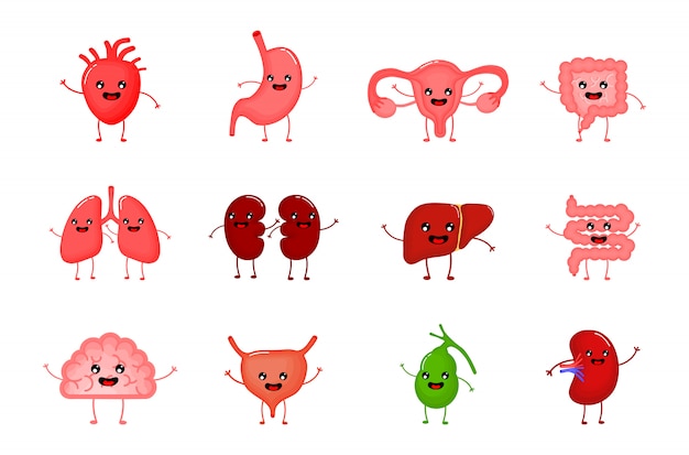 personagens de banda desenhada humanos saudáveis bonitos e engraçados dos desenhos animados ajustados.