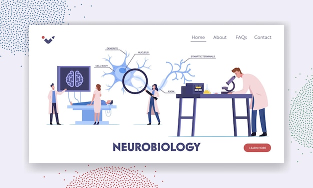 Personagens de cientistas aprendendo o cérebro humano em modelo de página de destino de laboratório. pessoas em laboratório com esquema de dendrito, corpo celular, axônio e núcleo com terminais sinápticos. ilustração em vetor de desenho animado