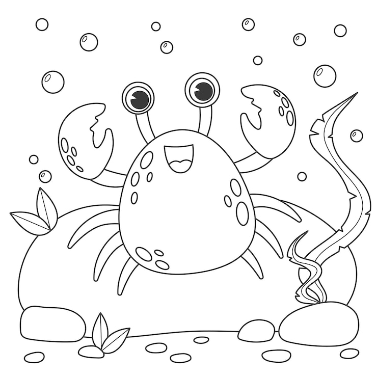 Vetor personagens de desenhos animados de caranguejo engraçados livro de colorir para crianças com caranguejos vida subaquática desenhada à mão