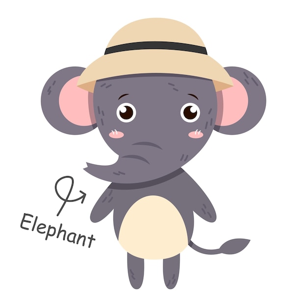 Personagens de desenhos animados de elefante com roupas Vector