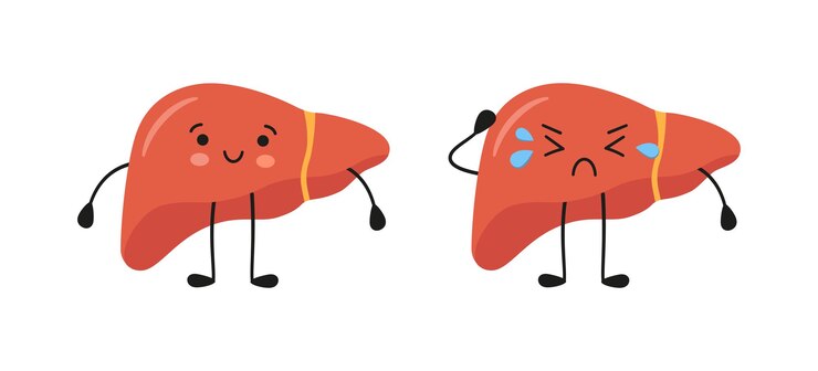Personagens saudáveis de fígado doente, felizes e tristes. Personagens de fígado de Kawaii. Ilustração em vetor isolada em estilo plano e cartoon sobre fundo branco.