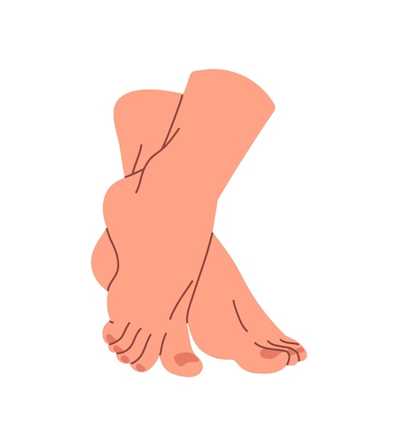 Pés descalços femininos em pé de dedos de pés Mulher descalça com pedicura caminha em ponta dos pés Anatomia das pernas humanas solas do calcanhar Procedimentos de beleza de podologia Ilustração vetorial isolada plana em fundo branco