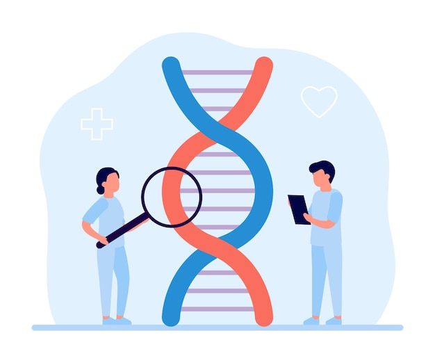 Pesquisa genética de hélice de DNA médico cientista em laboratório Ciência investigando vetor de DNA