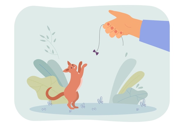 Pessoa brincando com gato. Mão masculina segurando a corda com lacinho, gatinho em pé nas patas traseiras. Animal de estimação, conceito de lazer para banner, design de site ou página da web de destino