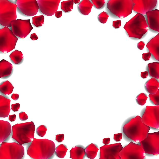 Pétala de flor rosa vermelha, fundo de quadro romântico