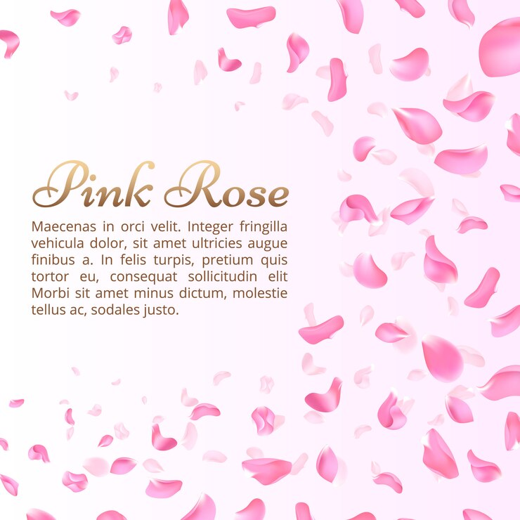 Vetor pétalas cor-de-rosa da rosa ou do sakura de queda. elegante fundo romântico