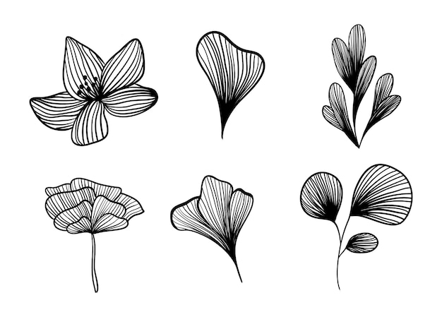 Pétalas de flores e flores em linha. Desenho de mão de ilustração vetorial