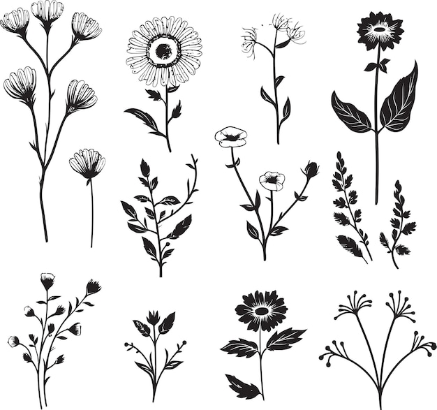 Vetor pétalas esculpidas ícone preto elegante ilustrando design botânico sussurros da natureza logotipo vetorial des