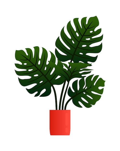 Vetor philodendron monstera deliciosa planta em pote