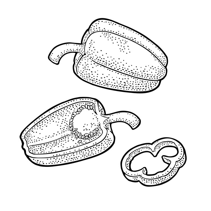 Vetor pimenta doce inteira e em fatias ilustração de gravura vintage vetorial para rótulo de cartaz de menu isolado em fundo branco elemento de design desenhado à mão