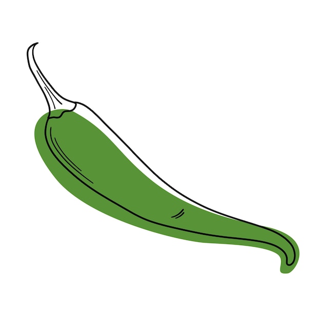 Pimenta quente verde. Pimenta de vetor isolada. Especiaria. Pimenta jalapeno.