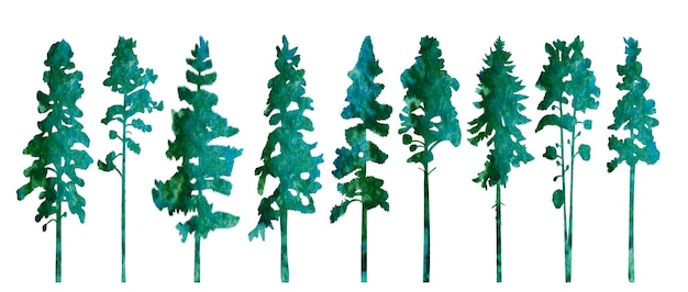 Pinheiros abetos vetor de design de silhueta em aquarela isolado