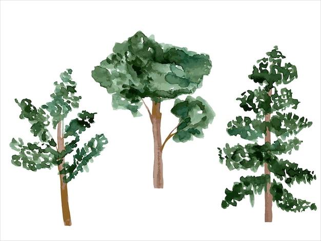 pinheiros e árvores em aquarela desenhados à mão