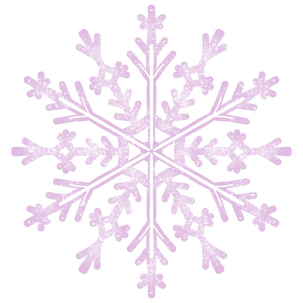 Vetor pintar flocos de neve ilustração sinal de inverno símbolo de tempo frio de beleza única pintado à mão