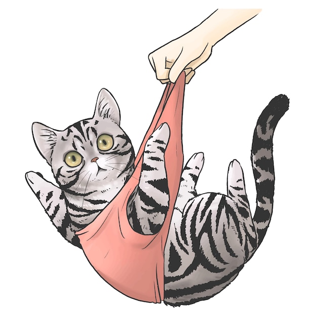 Pintura digital de gato americano de cabelo curto pegando com a mão