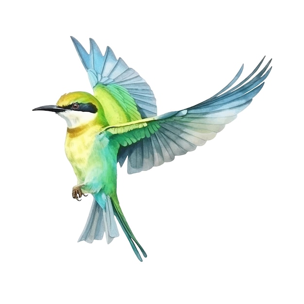 Pintura em aquarela de pássaro Beeeater verde