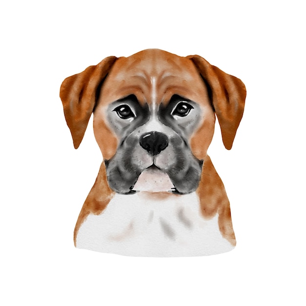 Pintura em aquarela Dog Boxer Animal de cachorrinho adorável isolado no fundo branco Ilustração vetorial de retrato de cachorro fofo realista