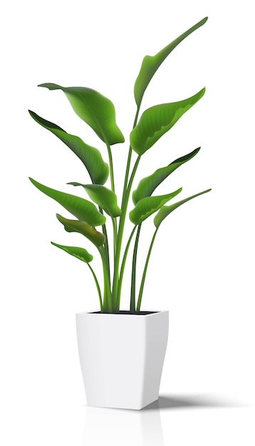 piso casa verde planta. no ícone branco ilustração em pote branco.