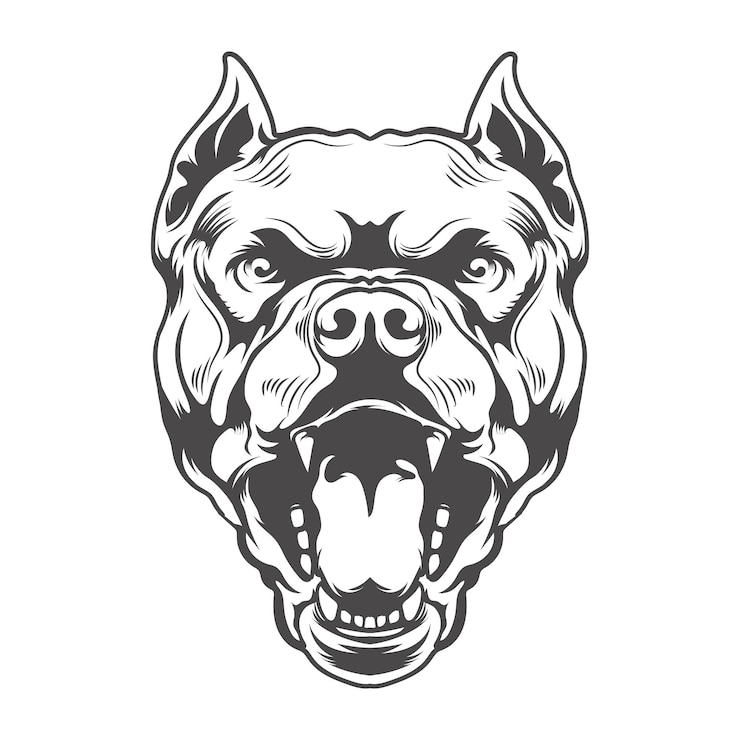 Vetor pitbull cão cara zangada boca aberta design vetorial