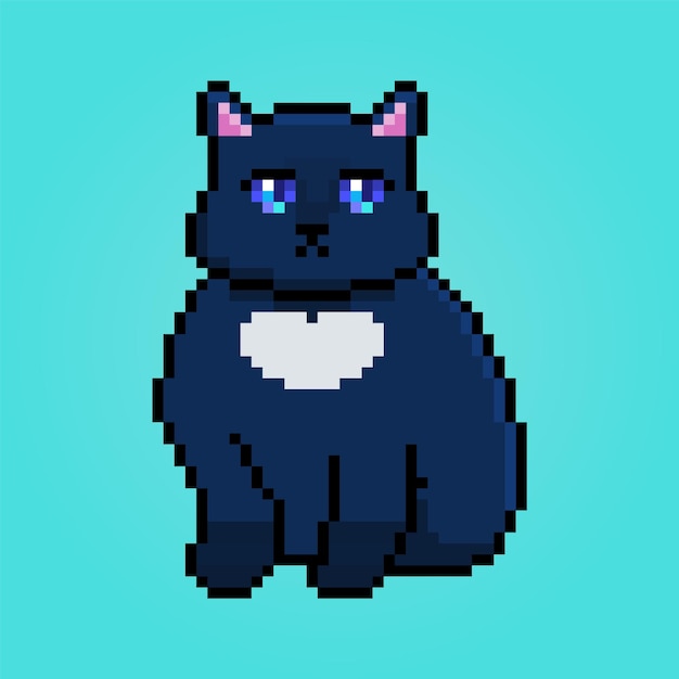 Pixel gordo gato fofo com olhos brilhantes sobre fundo azul