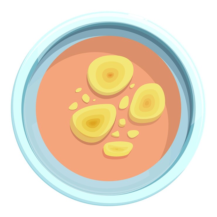 Vetor placa de petri com colônias de bactérias em crescimento, estilo de desenho animado