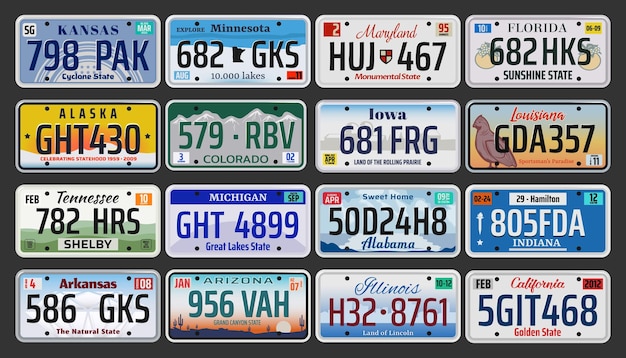 Vetor placas de matrícula de veículos dos estados americanos dos eua