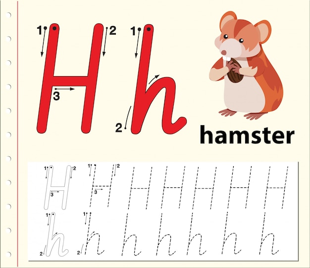 Planilhas de alfabeto de traçado da letra h