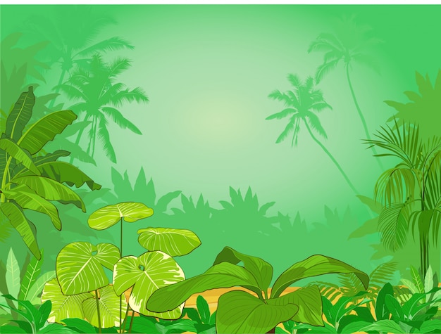 Plano de fundo da floresta tropical verde. selva com flores e plantas tropicais. ilustração