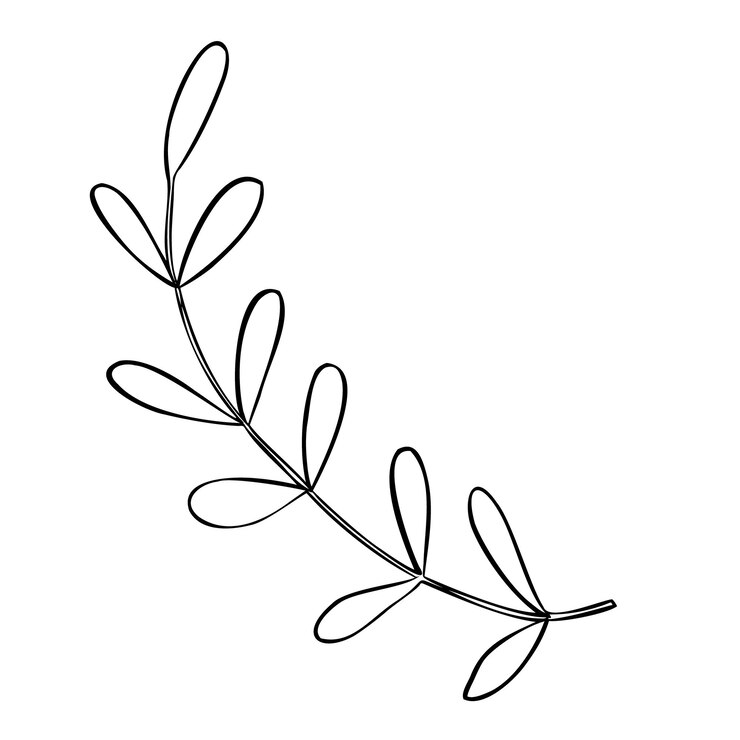 Vetor planta com folhas ilustração vetorial esboço desenhado à mão de um ramo pintado com tintas pretas em estilo de contorno desenho linear para ícone ou logotipo gravura botânica em fundo isolado gravura de doodle