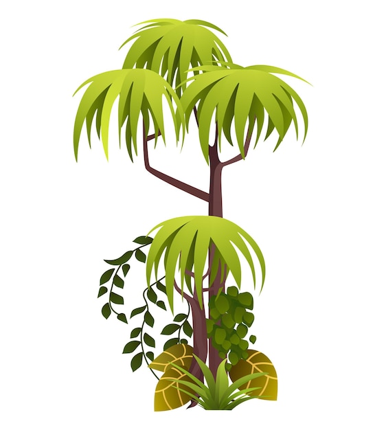 Planta da selva de conjunto colorido Esta ilustração vibrante mostra uma árvore tropical
