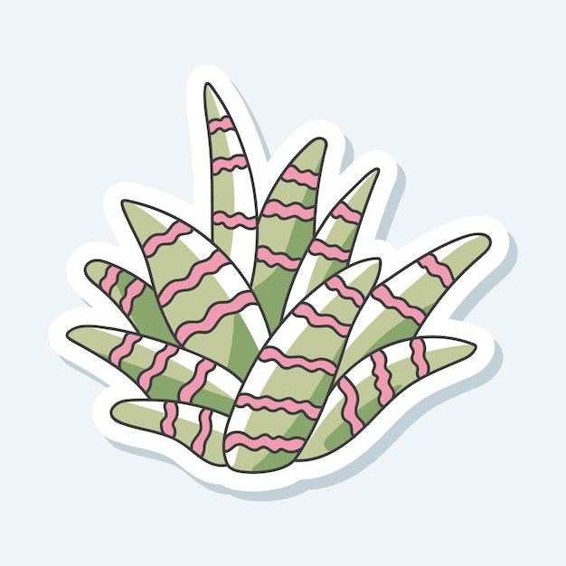 Planta de actus suculentas adesivo bonito isolado conjunto plano ilustração de design gráfico