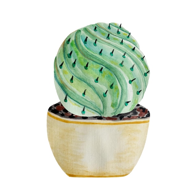 Planta de casa de cactos em aquarela em panela ilustração vetorial de cacto